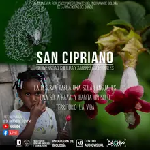 documental San Cipriano