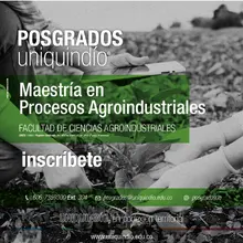 Plan de estudios de la maestría en Procesos Agroindustriales: