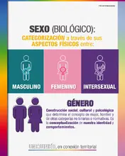 Sexo biológico y género